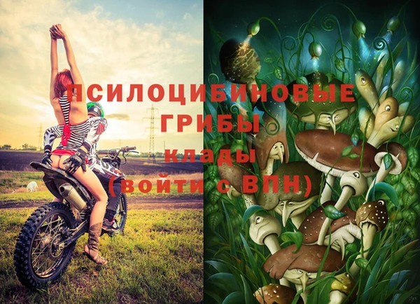 MDMA Зерноград